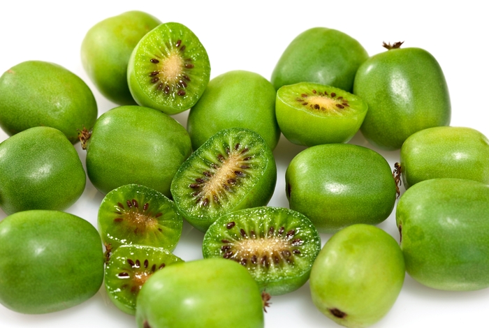 'Issai' Hardy Kiwi - Actinidia arguta from EC Browns Nursery