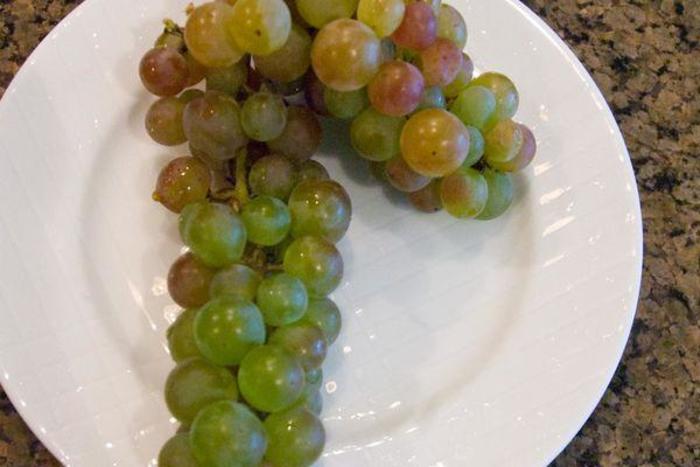 Swenson Grape - Vitis 'Swenson' from EC Browns Nursery