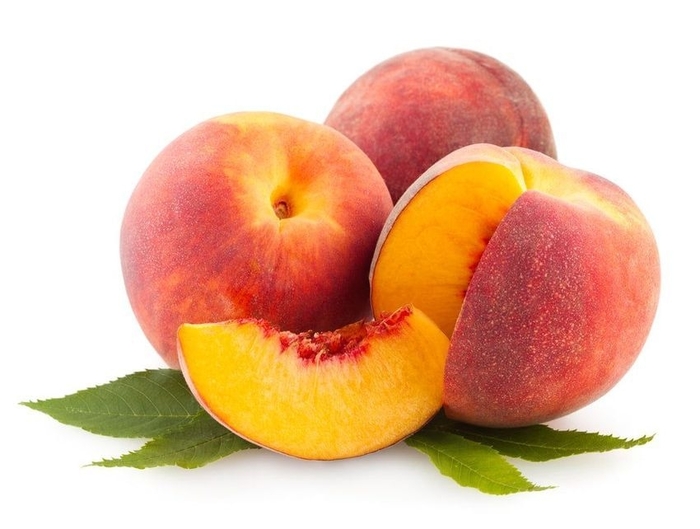 Frost Peach - Peach 'Frost' from EC Browns Nursery